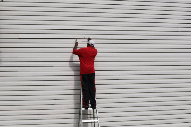 Best Brick Veneer Siding  in Dayton, NV