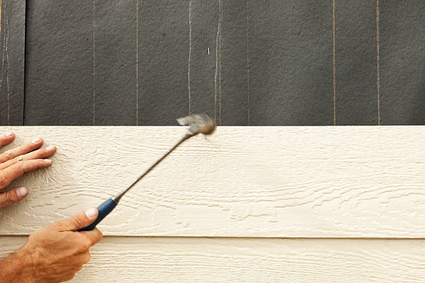 Trusted Dayton, NV Siding Experts