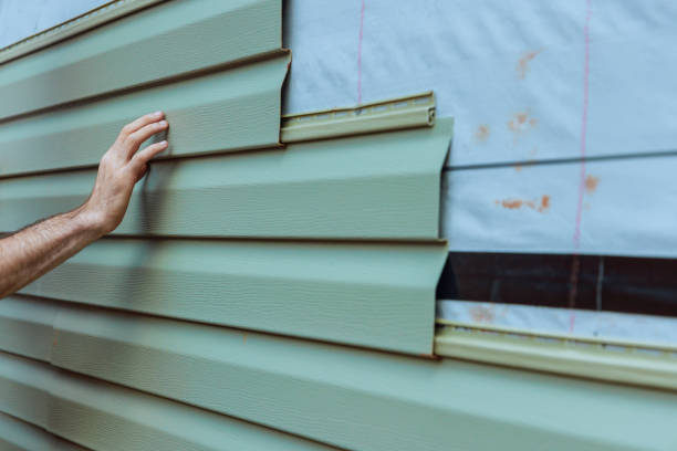 Best Custom Trim and Detailing for Siding  in Dayton, NV